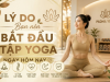 Lý Do Bạn Nên Bắt Đầu Tập Yoga Ngay Hôm Nay